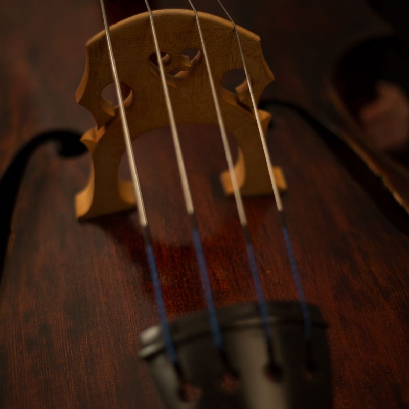 Admission Fee • London Classic Piano Competition